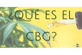 ¿Qué es el CBG?